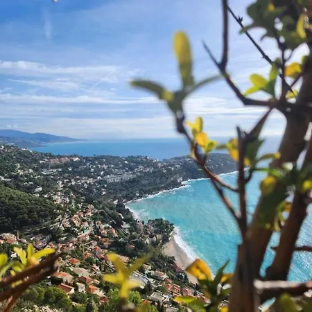 Your Favorite * Menton